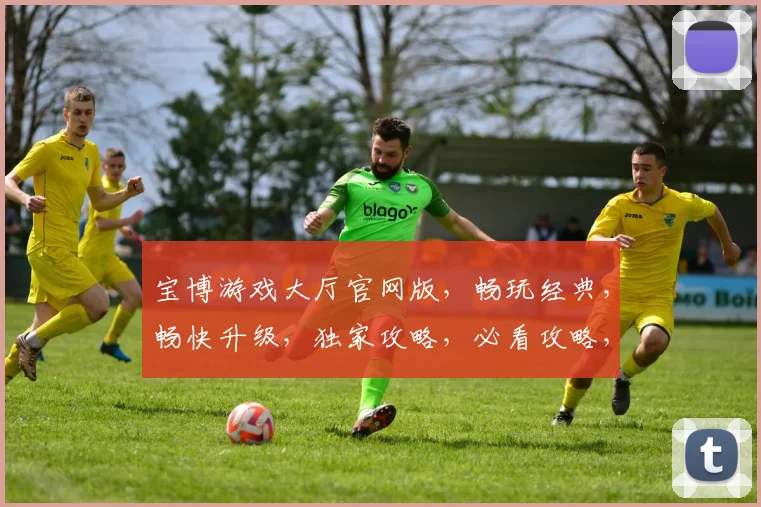 宝博游戏大厅官网版，畅玩经典，畅快升级，独家攻略，必看攻略，轻松上手