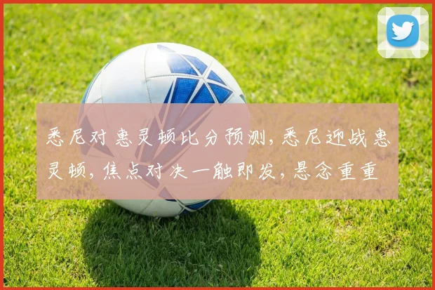 悉尼对惠灵顿比分预测,悉尼迎战惠灵顿,焦点对决一触即发,悬念重重
