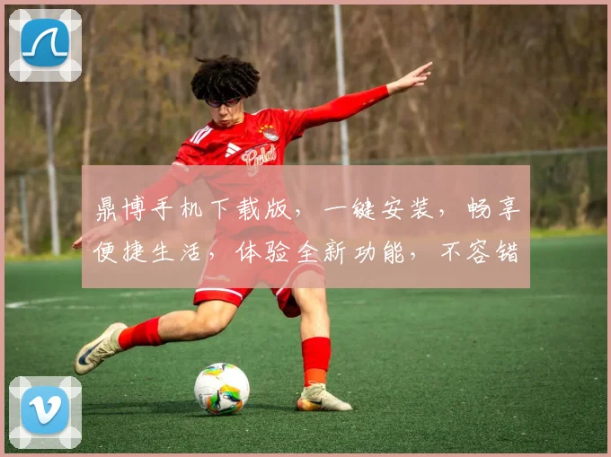 鼎博手机下载版，一键安装，畅享便捷生活，体验全新功能，不容错过