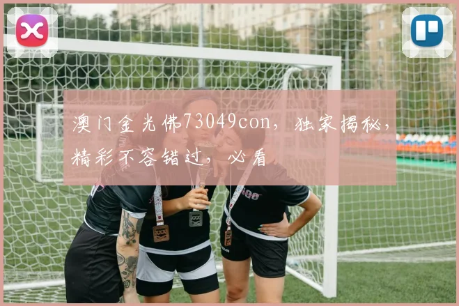 澳门金光佛73049con，独家揭秘，精彩不容错过，必看