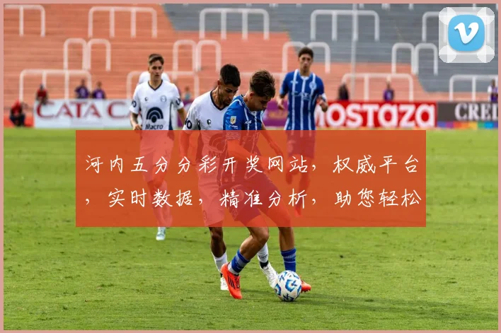 河内五分分彩开奖网站，权威平台，实时数据，精准分析，助您轻松盈利